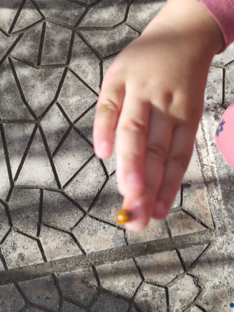 IMG 20231114 111413 1