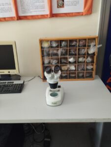 thumbnail IMG 20240524 094839