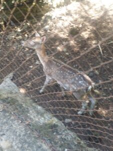 thumbnail IMG 20240524 115235