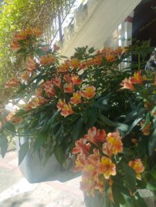 thumbnail IMG 20240524 115838