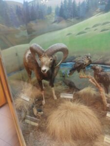 thumbnail IMG 20240524 121437