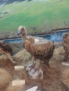 thumbnail IMG 20240524 121439