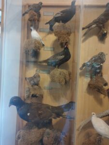 thumbnail IMG 20240524 121859