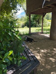 thumbnail IMG 20240524 140459