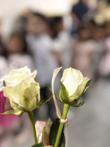 IMG 73abf51f0ad704e0adfc9be19d4cdeff V