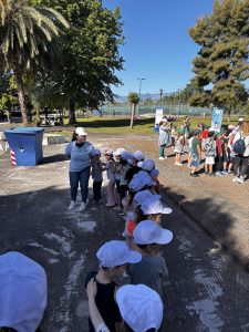 IMG c1de74a4387ae2a8375c479a7045a331 V 1