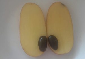 received 1776872532520426