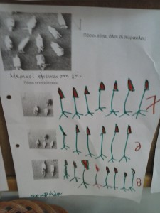 CAM01915
