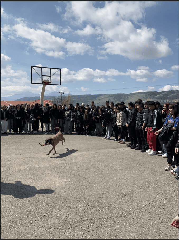 adespota 3