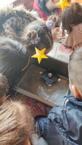 2023 05 05 08 04 07 6301