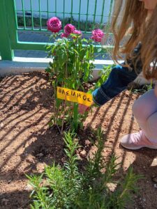 IMG 199471b679383f458d7e67fc5128e32c V