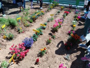 IMG 83aeeffb2d20a4d16521d304cf89da9d V