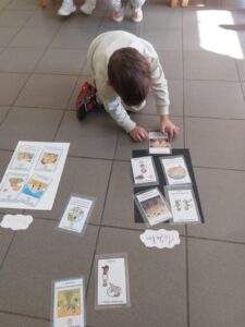 IMG 6847fcc6ca41b54dc9882a467570a14b V