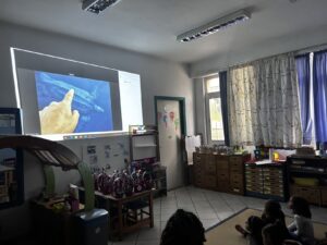 IMG 8557