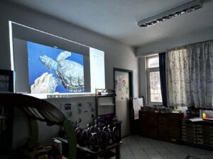 IMG 8558 1