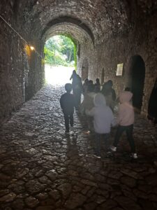 IMG 8725