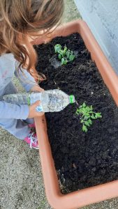 a95ee166 f784 41d9 8b3d f7be862a00f2