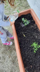 e4632c53 20b6 4f77 a1dc 409b6ce20a96