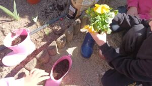 5a97d8a3 2961 431e 978b 4f23ece2108f