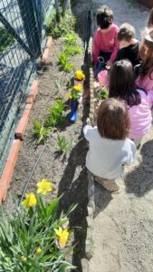 ef8a010f a961 4c05 96b0 9e97bb1ac798