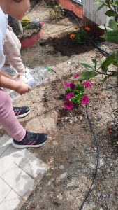 034684c9 136c 4add 8f33 7e23e692741f