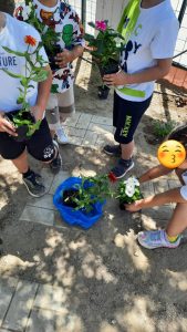 5d50273c e762 4aea a6f2 9a8b6f301ee1