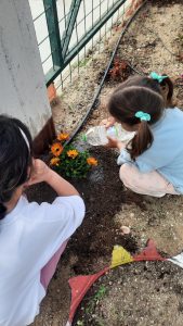 5d6cb75a fd9c 49cb a24c c6890975a495