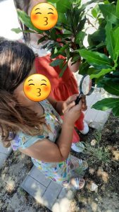 84cd099d c38d 43b9 8615 0f875c6c58bd