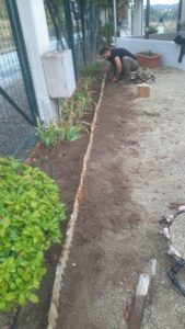 966c2d0d be1d 4306 832e 7d3e7fbc0b6c