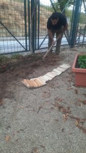 b00975e4 c4f2 4d82 9306 00d6fba07f5b