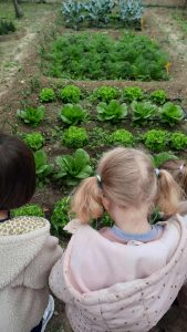 47cd89fb f6f2 4382 afd0 f035d00d989f