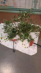 8089b11f 87d4 4cdf a0e5 3c5eea7e9c4e