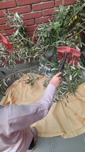 a32699eb 2d3d 4e8f bf11 f331710e5b28