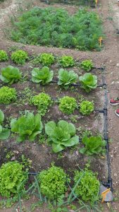 e60f05e1 df06 4ed4 8b48 76ab4a2fad26