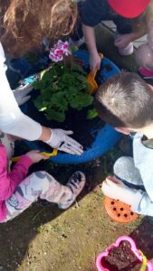 IMG 800ea51a03652d81cb84fdad76d77e6a V