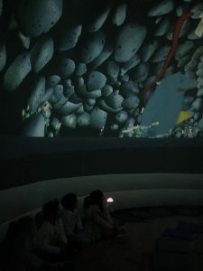 image5