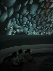 image6