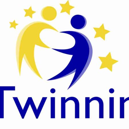 eTwinning Logo