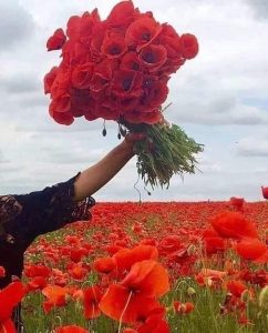 FB IMG 17461090090581