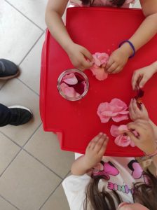 e6242646 b0b1 4dd3 bb1d d95e5fa98f9e