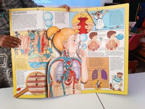 IMG 0e30c870bf0dda9f852eb774041e2fe4 V