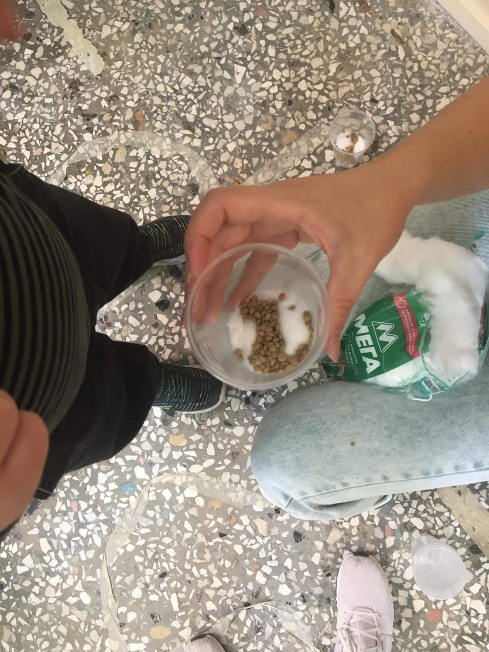 bb88f107 9df5 4768 947e 9713711a5313