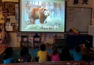 ΑΡΚΟΥΔΑ ΠΡΟΤΖΕΚΤΟΡΑς