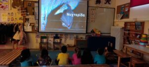 ΝΥΧΤΕΡΙΔΑ ΠΡΟΤΖΕΚΤΟΡΑ