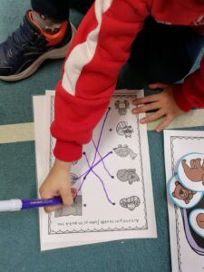 ΠΟΙΑ ΕΙΝΑΙ Η ΦΩΛΙΑ ΓΙΑ ΤΟ ΚΑΘΕ ΖΩΑΚΙ ΠΟΥ ΟΕΦΤΕΙ ΣΕ ΧΕΙΜΕΡΙΑ ΝΑΡΚΗ Ι ΑΝΤΙΣΤΟΙΧΙΣΗ