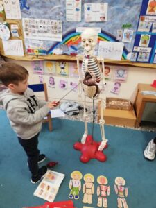 ένας επισκέπτης στην τάξη μας ο σκελετούλης