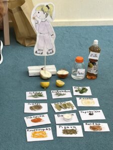 κυρια οσφρηση 1