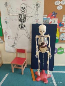 ο σκελετουλης