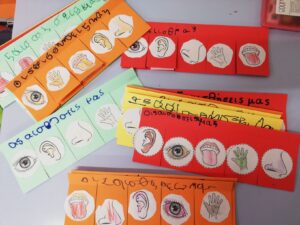 ολοκληρωμένη η κατασκευούλα με τις 5 αισθήσεις