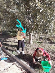 IMG 88a56a8daf1e15406659f083d326517b V